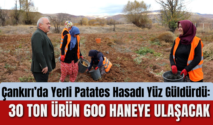 Çankırı’da Yerli Patates Hasadı Yüz Güldürdü: 30 Ton Ürün 600 Haneye Ulaşacak
