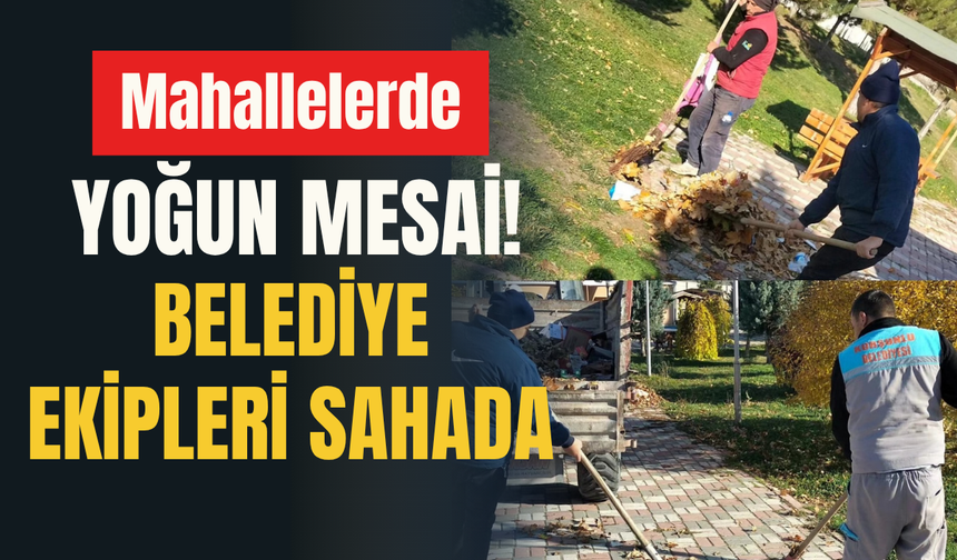 Mahallelerde Yoğun Mesai! Belediye Ekipleri Sahada