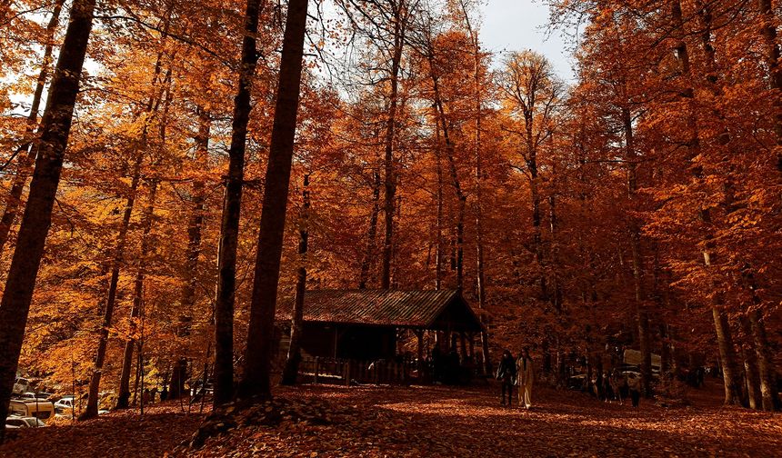 Sonbaharın Renk Cümbüşü Yedigöller’de Hafta Sonu Ziyaretçi Akını