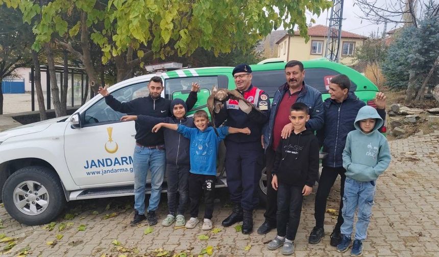 Sorgun Yaycılar Köyünde Yaralı Kızıl Şahin Kurtarıldı