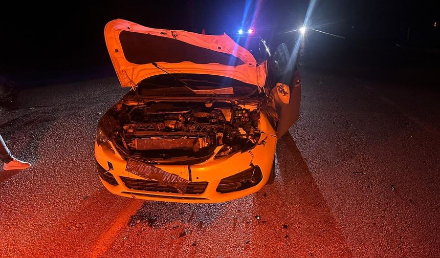 Yola Aniden Çıkan Danaya Çarpan Otomobilde 2 Yaralı