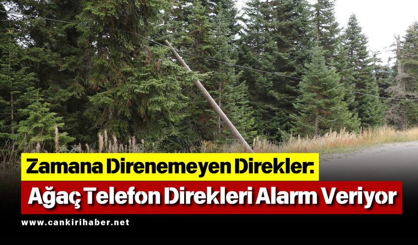 Zamana Direnemeyen Direkler: Ağaç Telefon Direkleri Alarm Veriyor