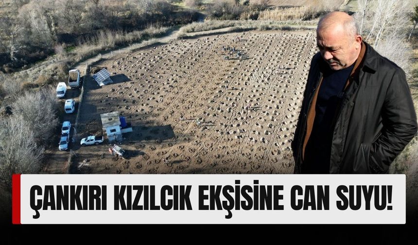 Çankırı Kızılcık Ekşisine Can Suyu!