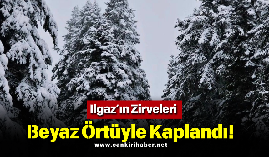 Ilgaz’ın Zirveleri Beyaz Örtüyle Kaplandı!