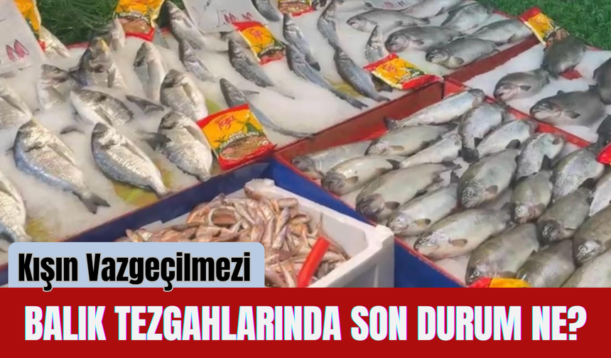 Kışın Vazgeçilmezi Balık Tezgahlarında Son Durum Ne?
