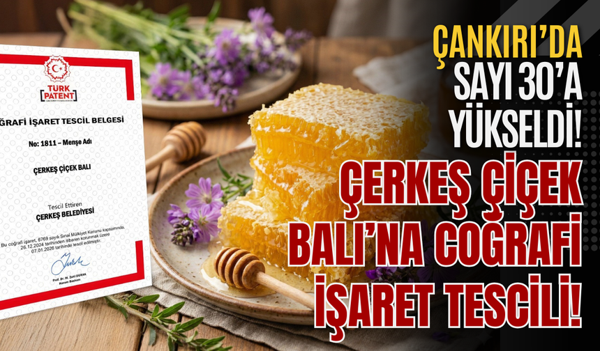 Çerkeş Çiçek Balı’na Coğrafi İşaret Tescili! Çankırı’da Sayı 30’a Yükseldi!