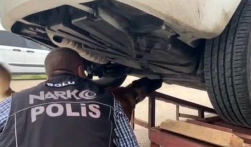 Güvenlik Güçlerinden Kritik Hamle: Belirlenen Adreslere Baskın!