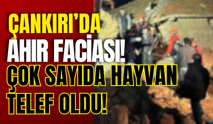 Çankırı’da Ahır Faciası! Çok Sayıda Hayvan Telef Oldu!