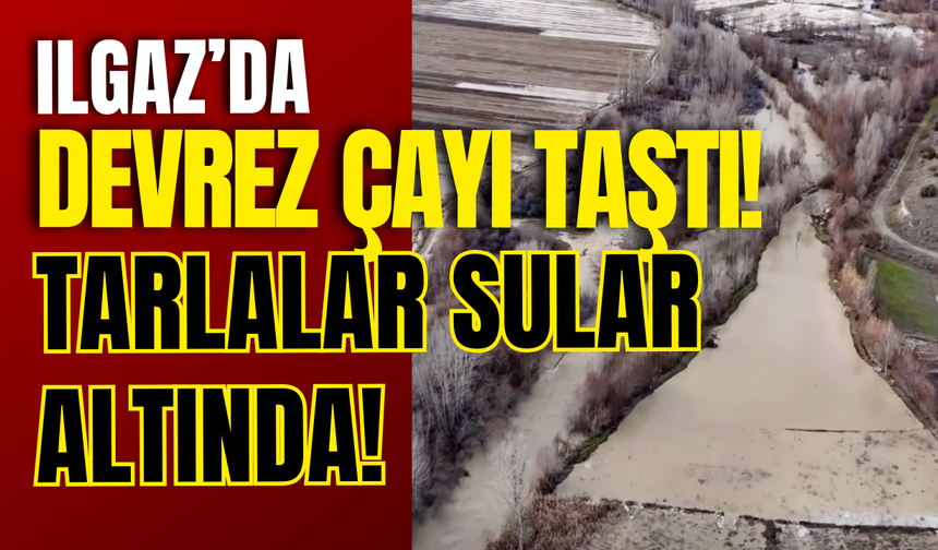 Ilgaz’da Devrez Çayı Taştı! Tarlalar Sular Altında!