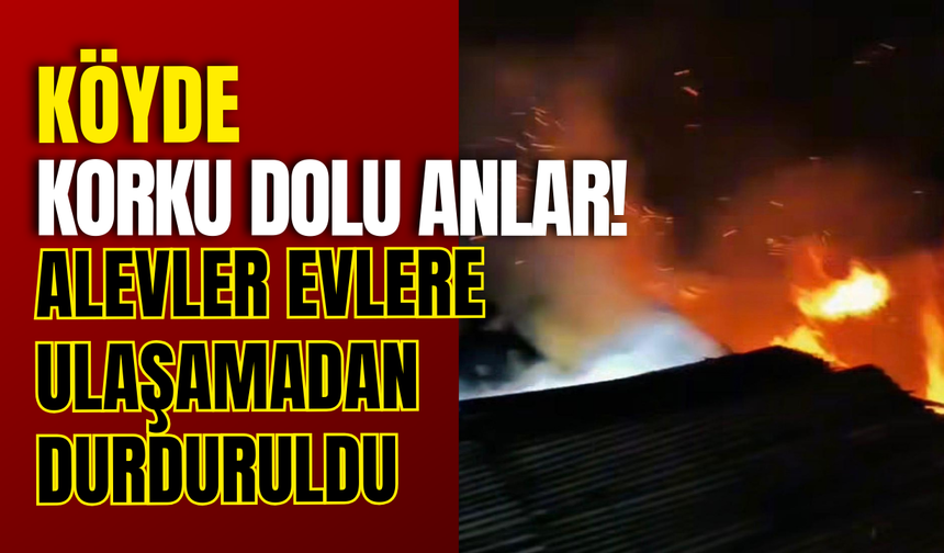 Köyde Korku Dolu Anlar! Alevler Evlere Ulaşamadan Durduruldu