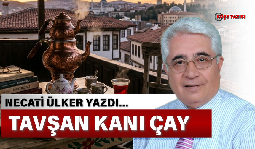 TAVŞAN KANI ÇAY