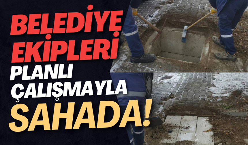 Belediye Ekipleri Planlı Çalışmayla Sahada!