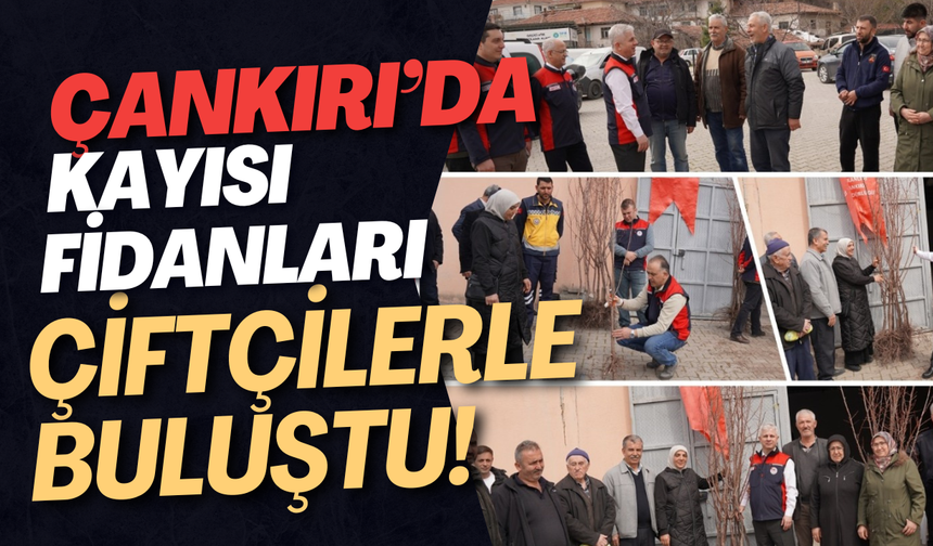 Çankırı’da Kayısı Fidanları Çiftçilerle Buluştu!