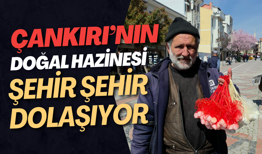 Çankırı’nın Doğal Hazinesi Şehir Şehir Dolaşıyor