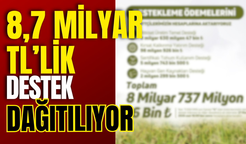 8,7 Milyar TL’lik Destek Dağıtılıyor