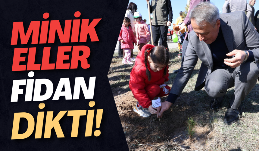 Minik Eller Fidan Dikti!