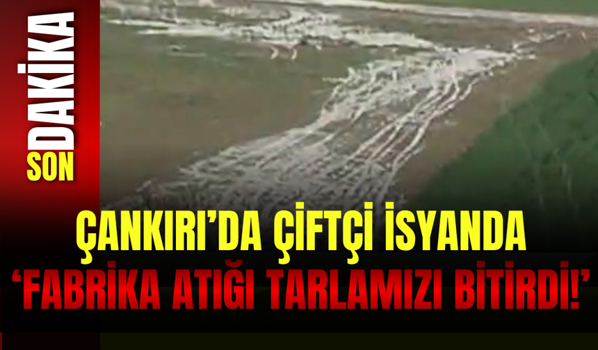 Çankırı’da çiftçi isyanda: "Fabrika atığı tarlamızı bitirdi!"