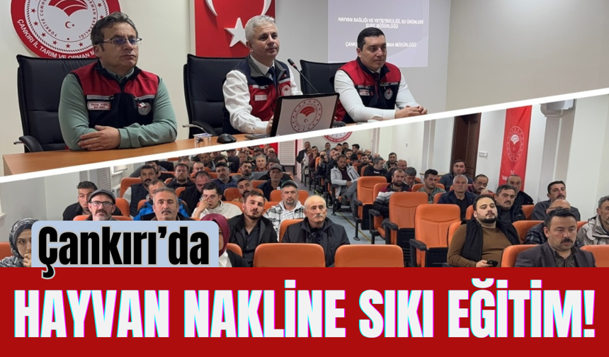 Çankırı’da Hayvan Nakline Sıkı Eğitim!