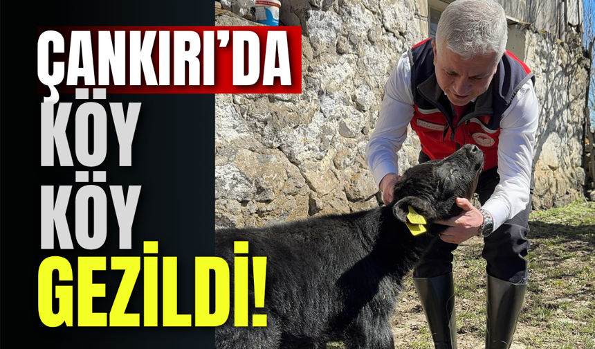 Çankırı’da Köy Köy Gezildi!