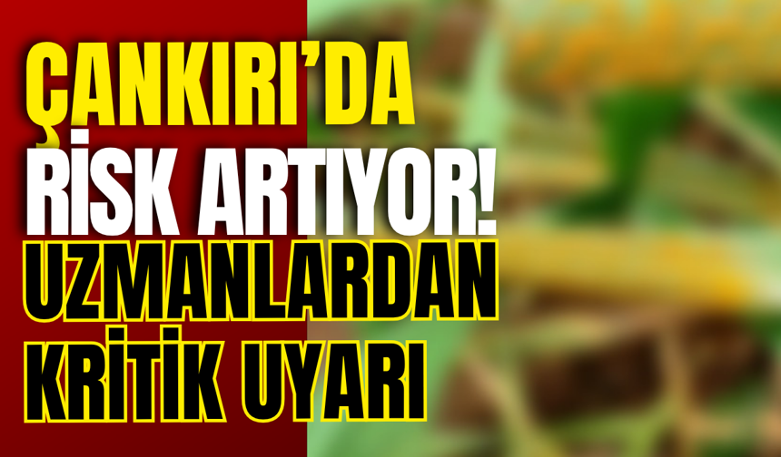 Çankırı’da Risk Artıyor! Uzmanlardan Kritik Uyarı