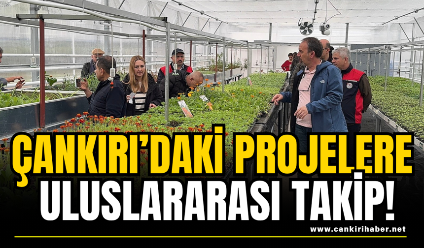 Çankırı’daki Projelere Uluslararası Takip!