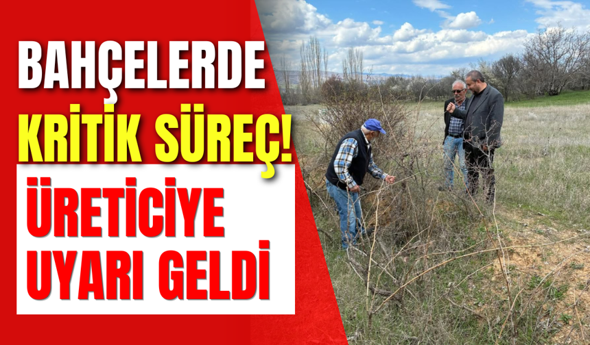 Bahçelerde Kritik Süreç! Üreticiye Uyarı Geldi