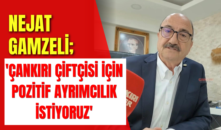 Nejat Gamzeli; 'Çankırı Çiftçisi İçin Pozitif Ayrımcılık istiyoruz'