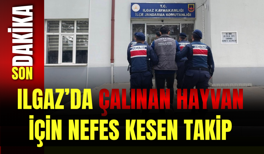 Ilgaz’da Çalınan Hayvan İçin Nefes Kesen Takip