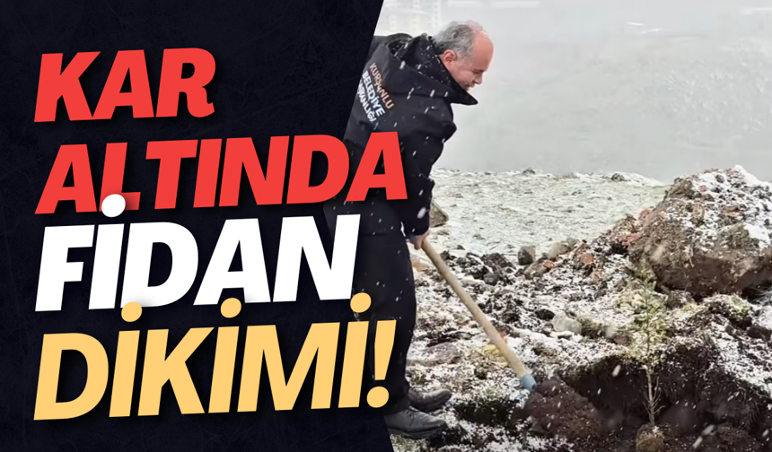 Kar Altında Fidan Dikimi!