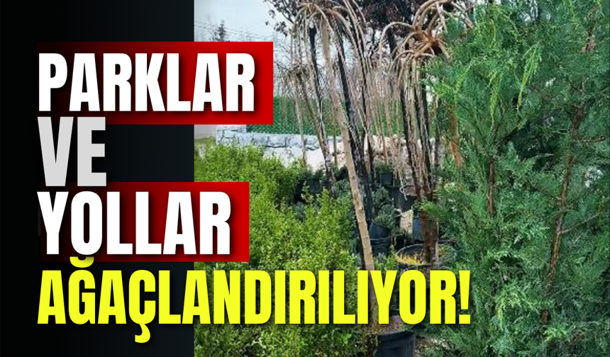Parklar ve Yollar Ağaçlandırılıyor!