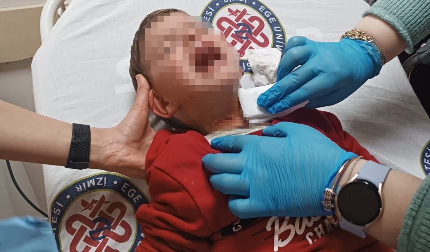 Parkta Oynayan Çocuğa Bıçaklı Saldırı