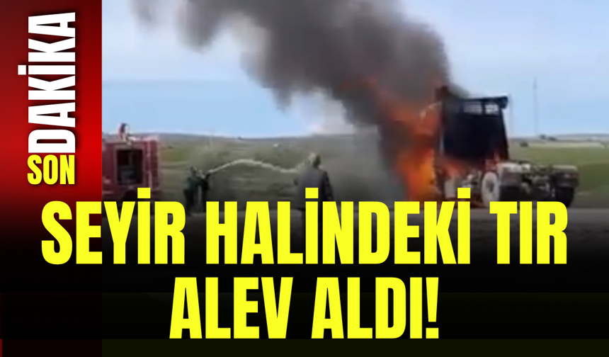 Seyir Halindeki Tır Alev Aldı!