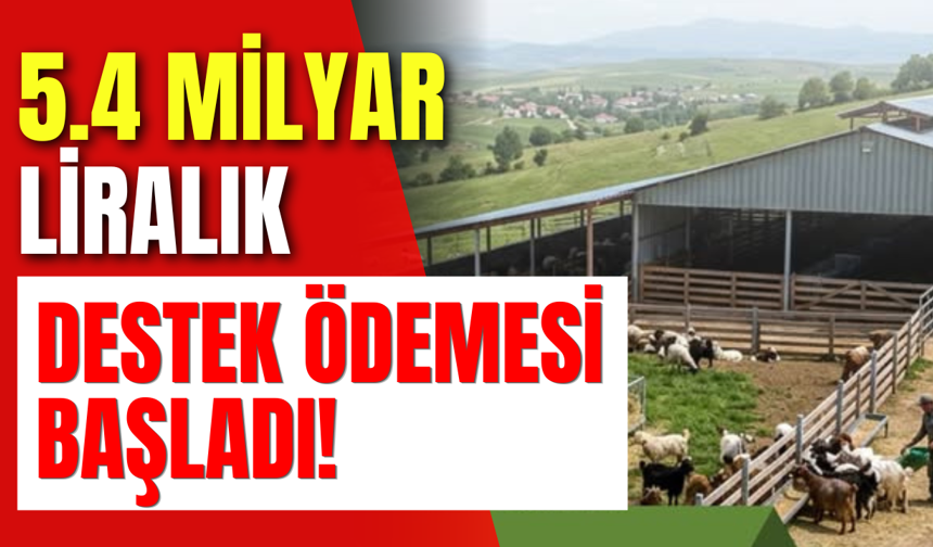 5.4 Milyar Liralık Destek Ödemesi Başladı!