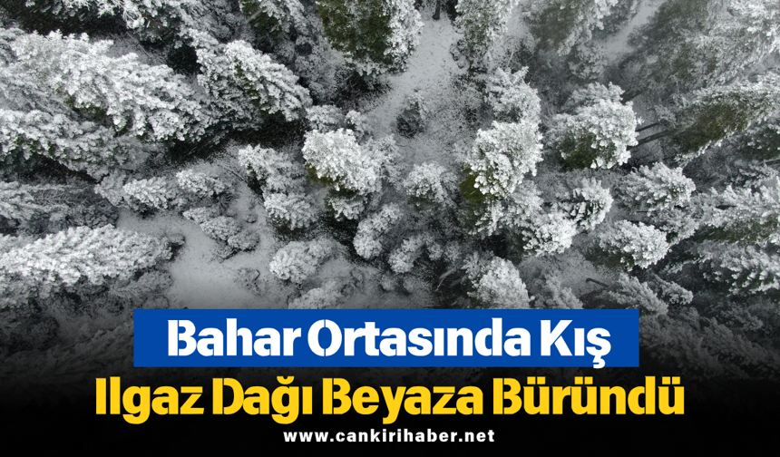 Bahar Ortasında Kış: Ilgaz Dağı Beyaza Büründü