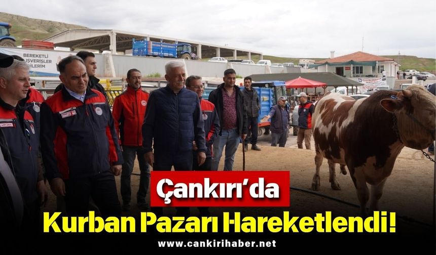 Çankırı’da Kurban Pazarı Hareketlendi!