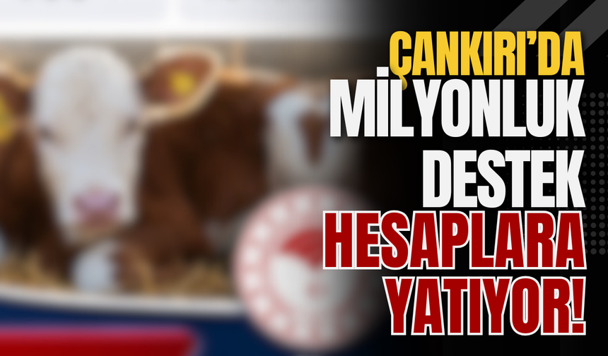 Çankırı’da Milyonluk Destek Hesaplara Yatıyor!