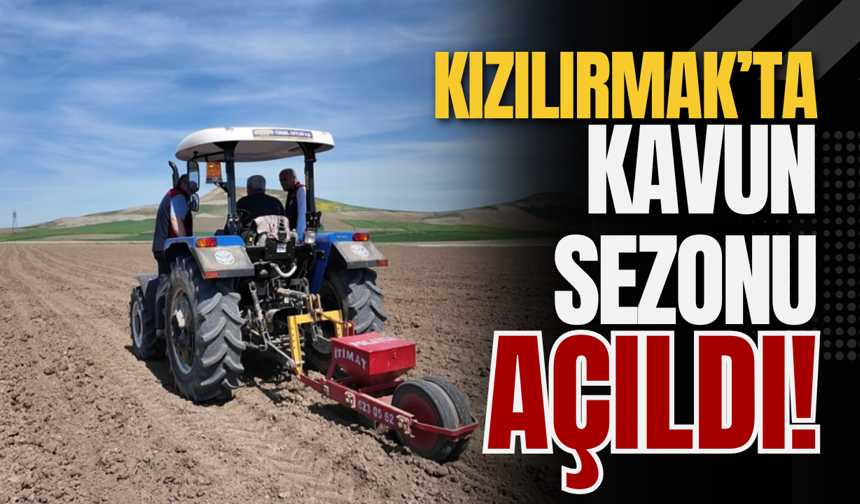 Kızılırmak’ta Kavun Sezonu Açıldı!