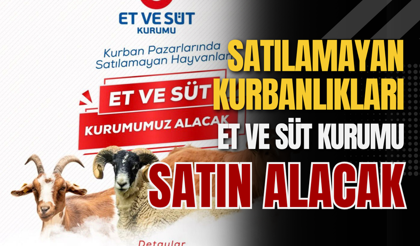 Satılamayan Kurbanlıkları ESK Satın Alacak