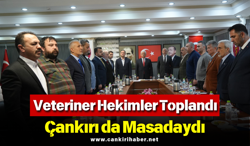 Veteriner Hekimler Toplandı: Çankırı da Masadaydı