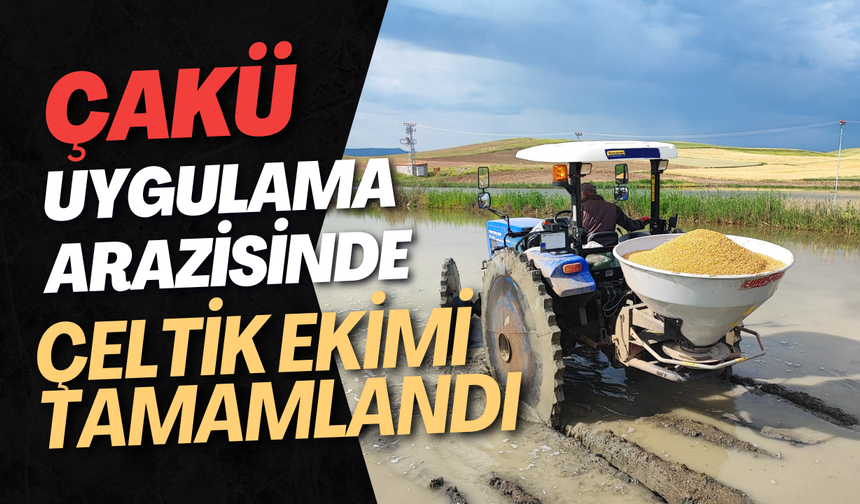 ÇAKÜ Uygulama Arazisinde Çeltik Ekimi Tamamlandı