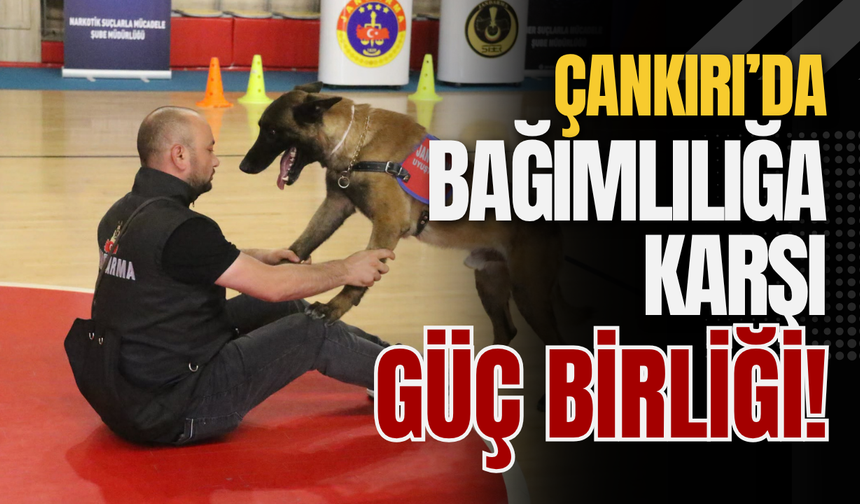 Çankırı’da Bağımlılığa Karşı Güç Birliği!