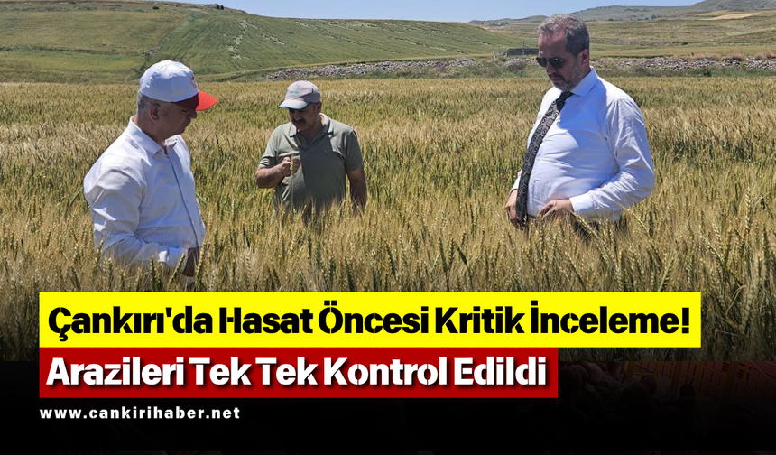 Çankırı'da Hasat Öncesi Kritik İnceleme! Tarım Arazileri Tek Tek Kontrol Edildi