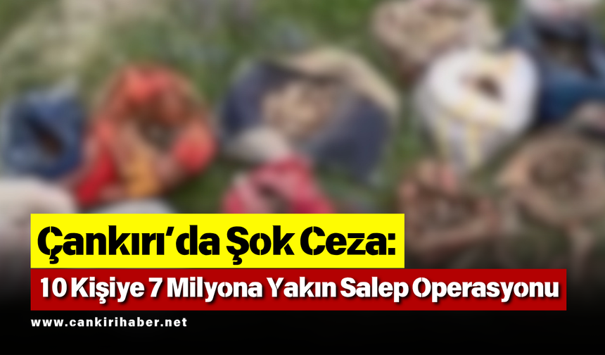 Çankırı’da Şok Ceza: 10 Kişiye 7 Milyona Yakın Salep Operasyonu