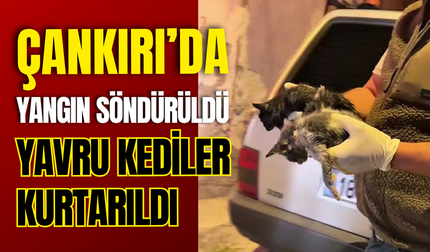 Çankırı’da Yangın Söndürüldü, Yavru Kediler Kurtarıldı
