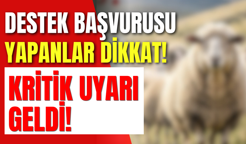 Destek Başvurusu Yapanlar Dikkat! Kritik Uyarı Geldi