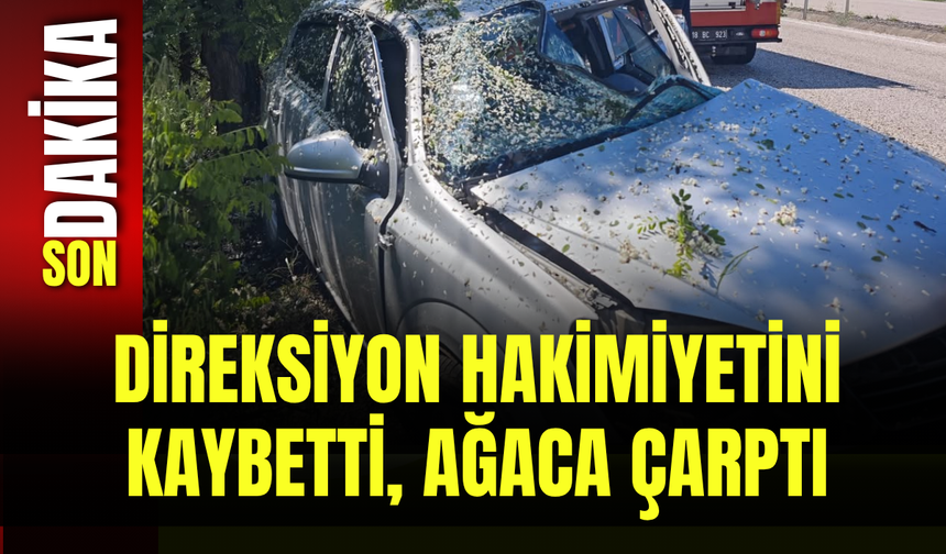 Direksiyon Hakimiyetini Kaybetti, Ağaca Çarptı