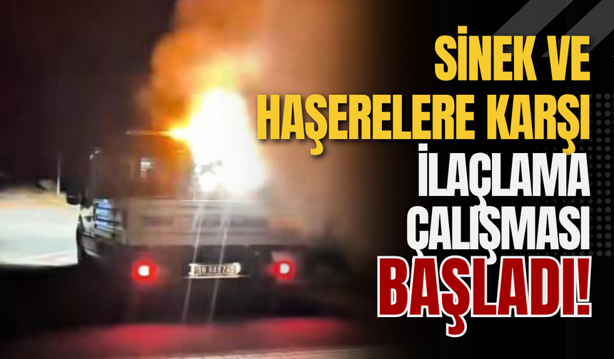 Sinek ve Haşerelere Karşı İlaçlama Çalışması Başladı!