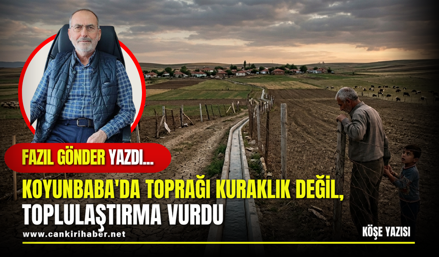 KOYUNBABA'DA TOPRAĞI KURAKLIK DEĞİL, TOPLULAŞTIRMA VURDU