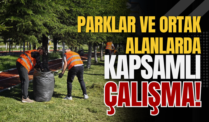 Parklar ve Ortak Alanlarda Kapsamlı Çalışma!