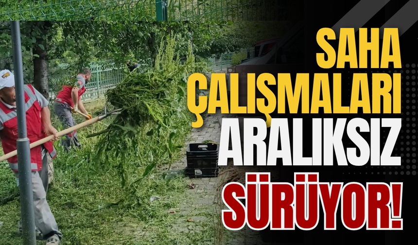 Saha Çalışmaları Aralıksız Sürüyor!